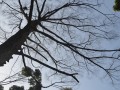 Tn 0212 DSC 5517